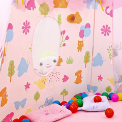 Beautiful Indoor Play Tent House for Kids