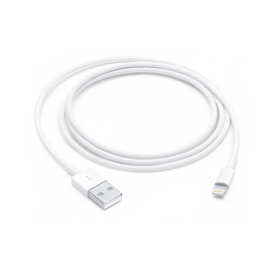 Apple Lightning to USB Cable 1 Meter
