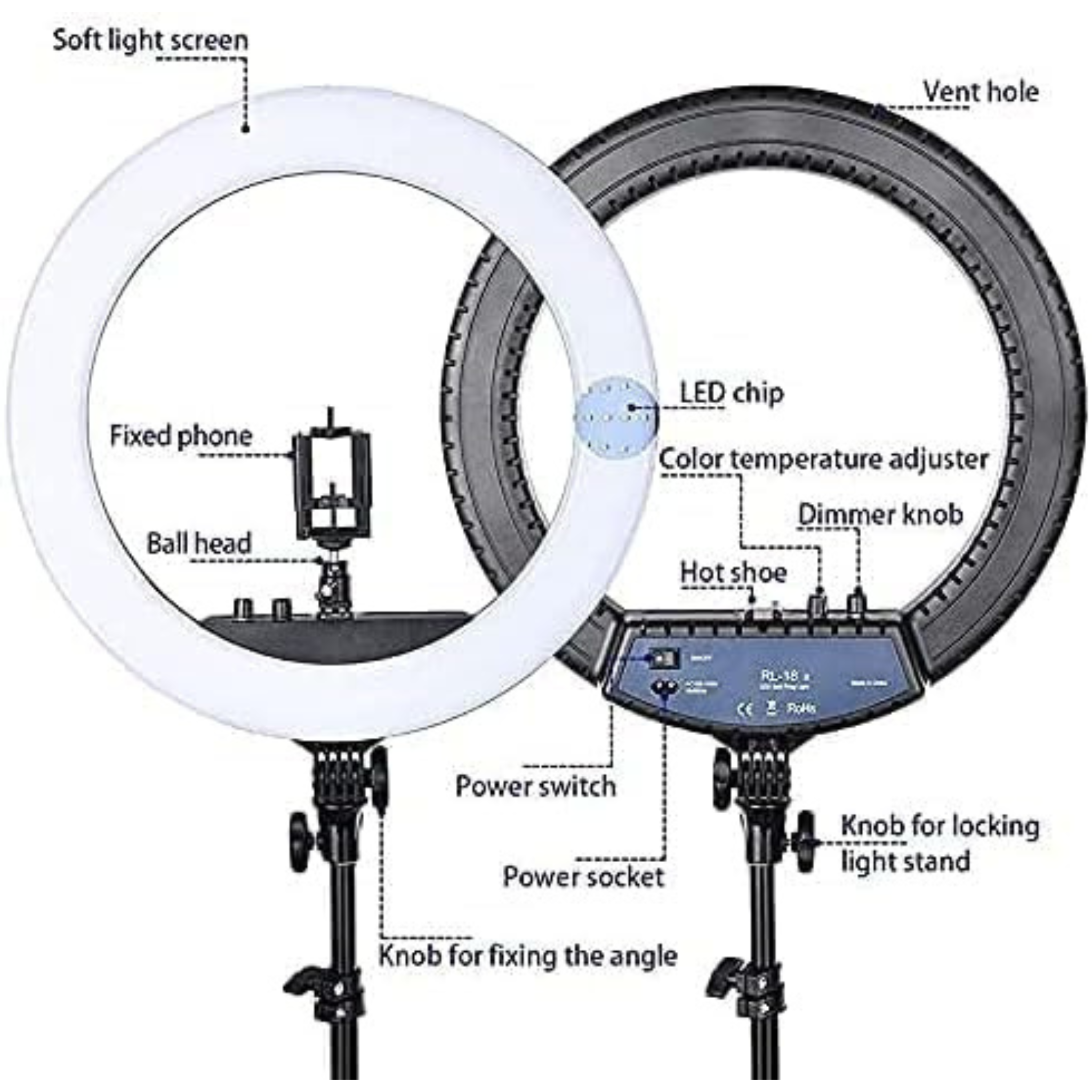 Selfie Ring Light with Light Stand, Color Filter, Phone Holder for Interview, Self Video Shooting