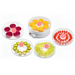 Food Dehydrator, 5 Layer Electric Fruits Vegetable Drying Machine
