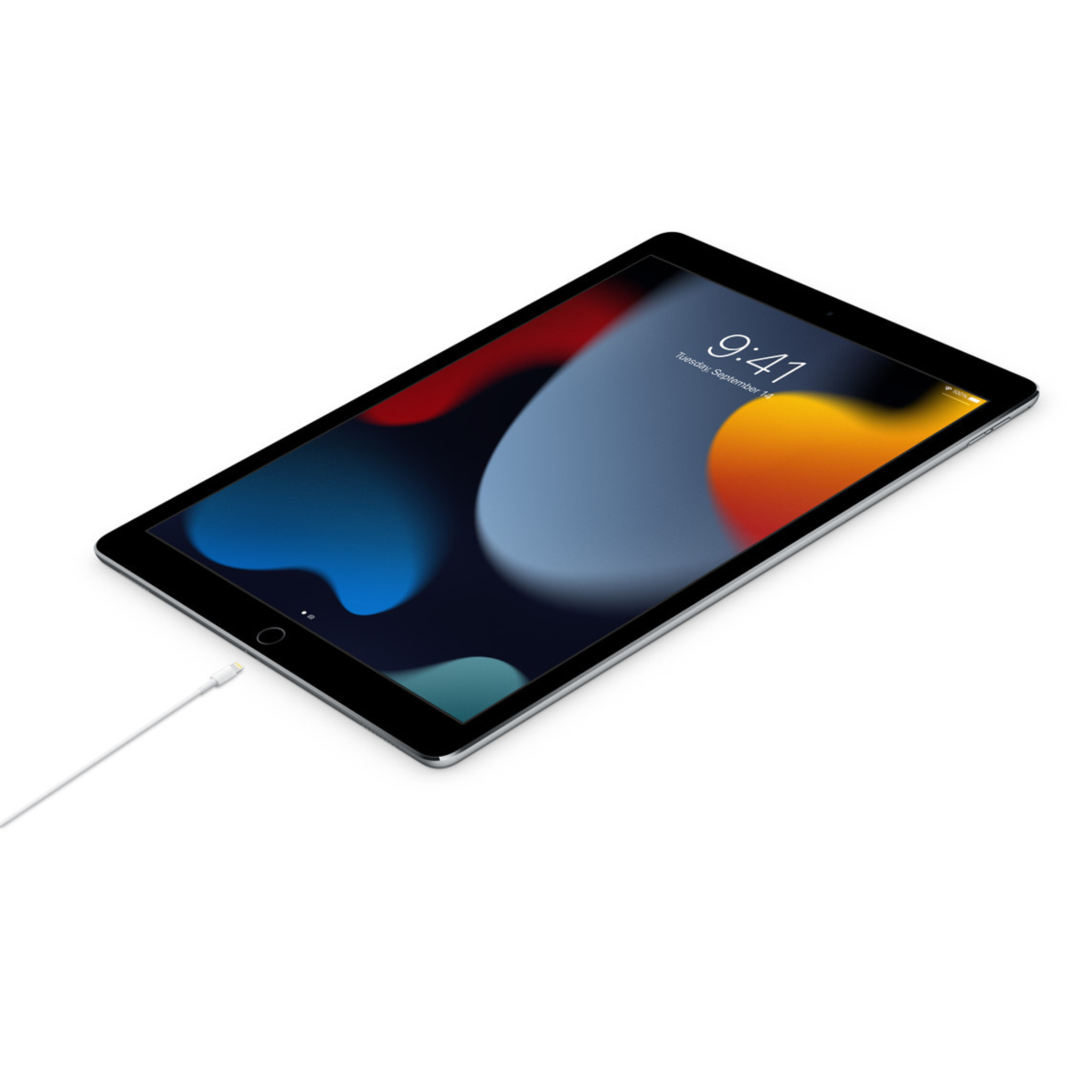 Apple USB C to Lightning Cable (1 Meter)