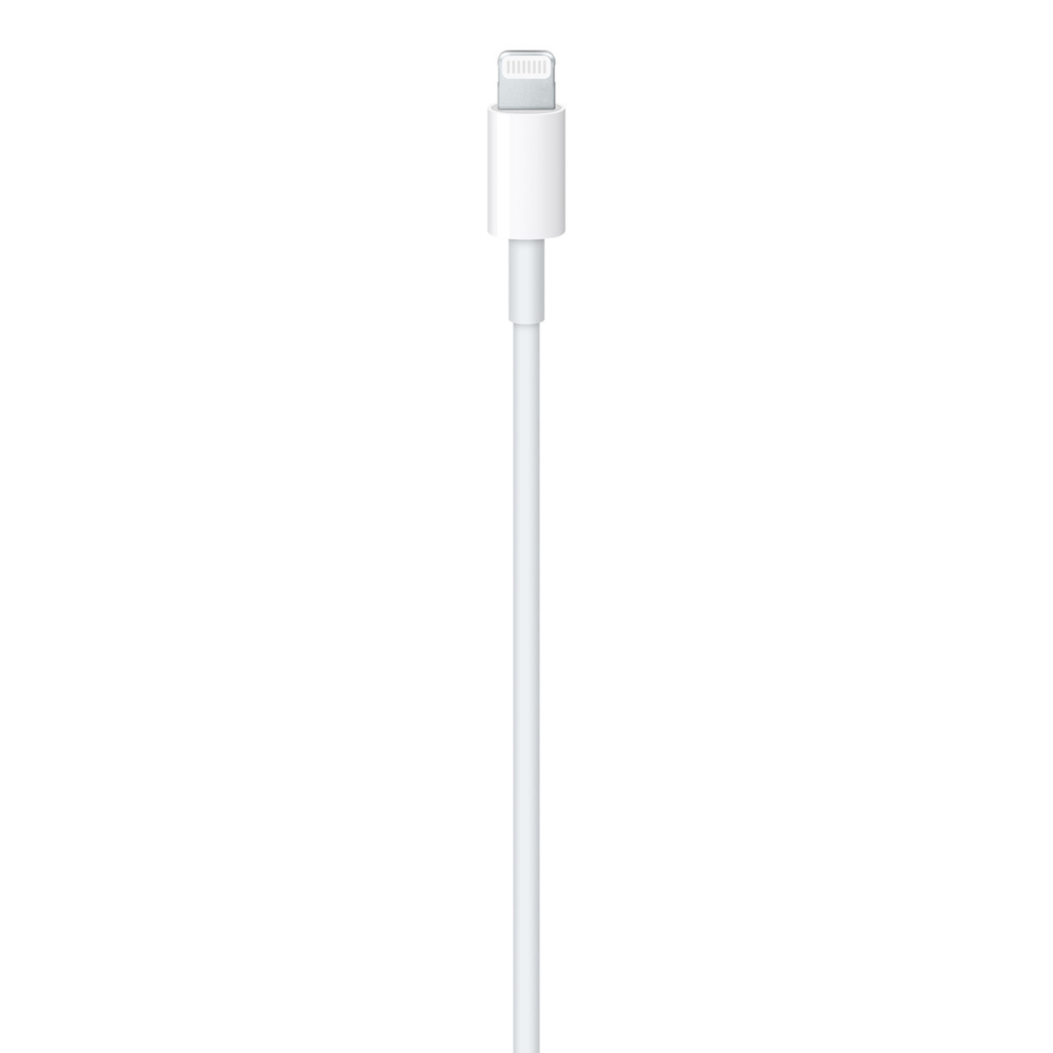 Apple USB C to Lightning Cable (1 Meter)