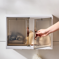 Wall Mounted Organizer Cabinet - Multi-functional Punch Free Storage Rack