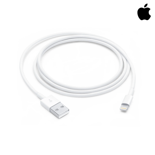 Apple Lightning to USB Cable (1 Meter)