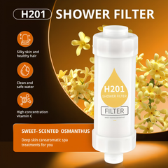 H201 Bathroom Shower Head Filter with Fragrance