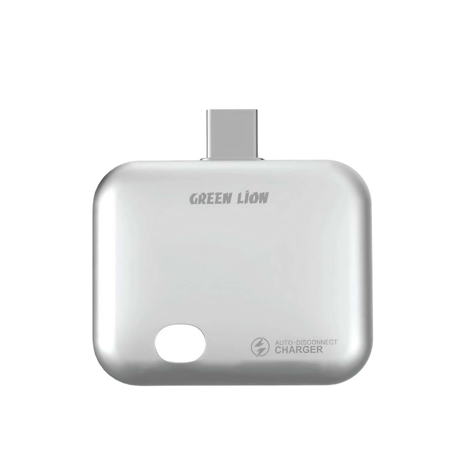 Green Lion Auto Disconnect Smart Charger
