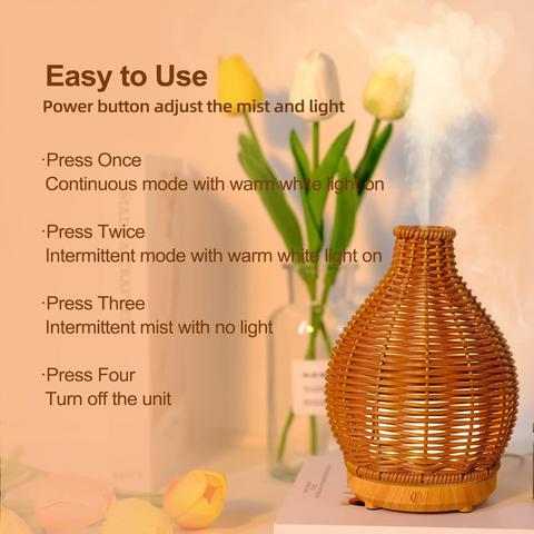 Aroma Diffuser Air Humidifier for Home