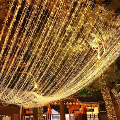 50 Meter LED String Decor Light with Modes for Wedding and Home Decoration