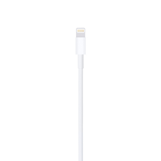 Apple Lightning to USB Cable (1 Meter)