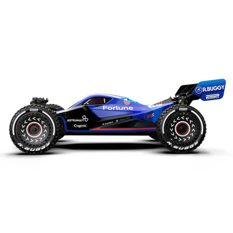 Rlaarlo Metal RTR 1:12 Scale Brushless Buggy X12S