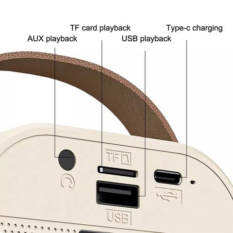 مكبر صوت كاريوكي صغير لاسلكي مزود بميكروفون يعمل بتقنية البلوتوث
