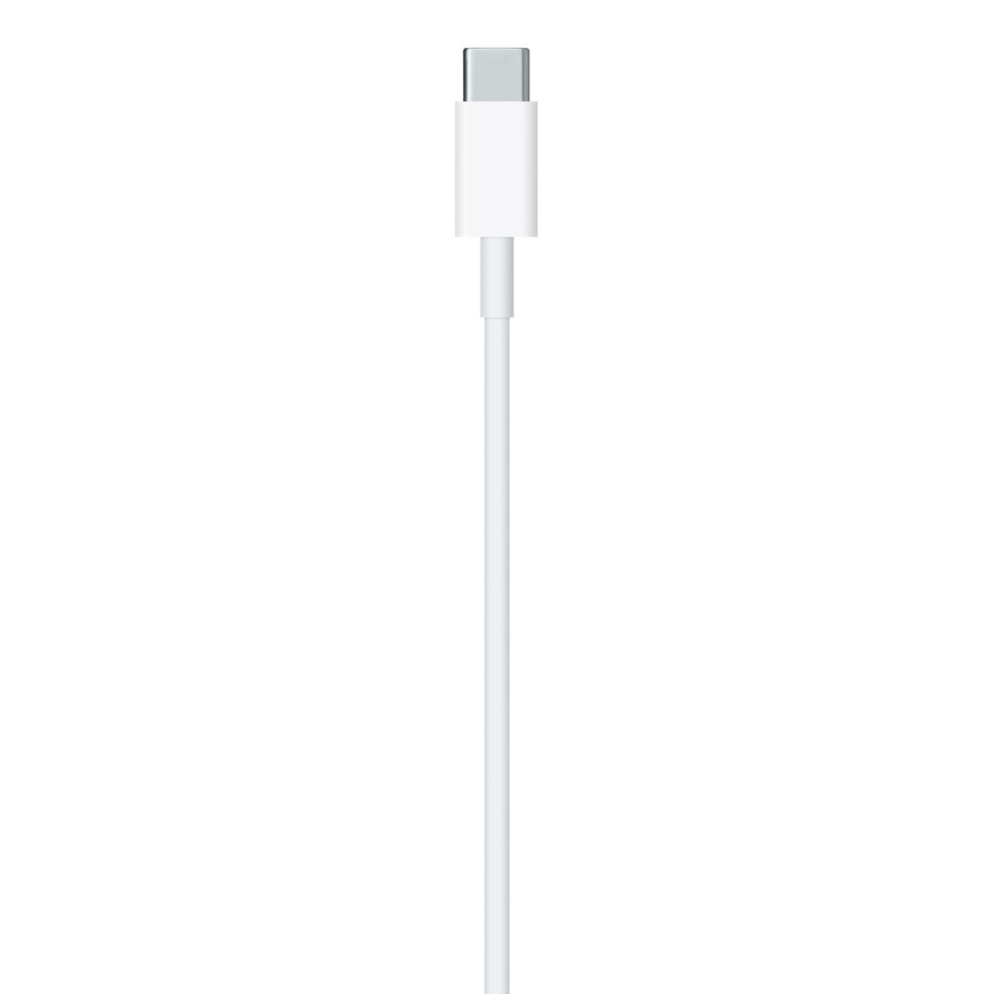 Apple USB C to Lightning Cable (1 Meter)