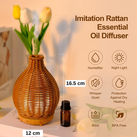 Aroma Diffuser Air Humidifier for Home