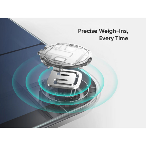 Anker Eufy Smart Scale P3