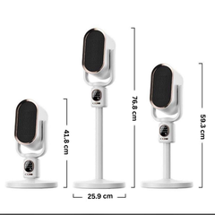 DGS N6 Dual Mode Vertical Fan Heater