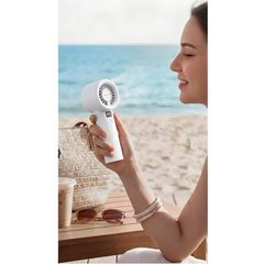 Green Lion Wind Mate Handheld Fan