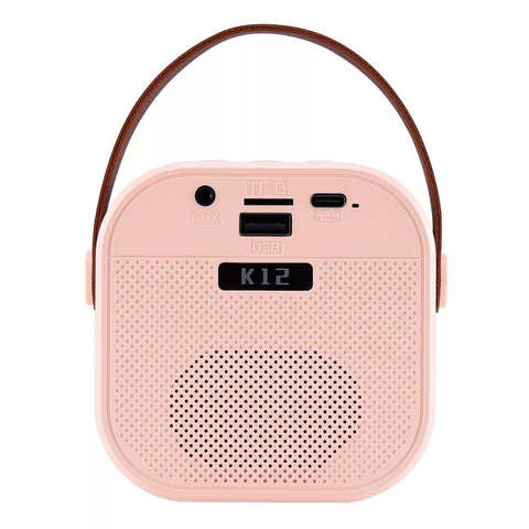 Mini Wireless Bluetooth Karaoke Speaker with Mic