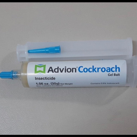 Cockroch Injection Advion Cockroach Gel Qatar - Cockroach Killer Gel Bait – Qmax.qa