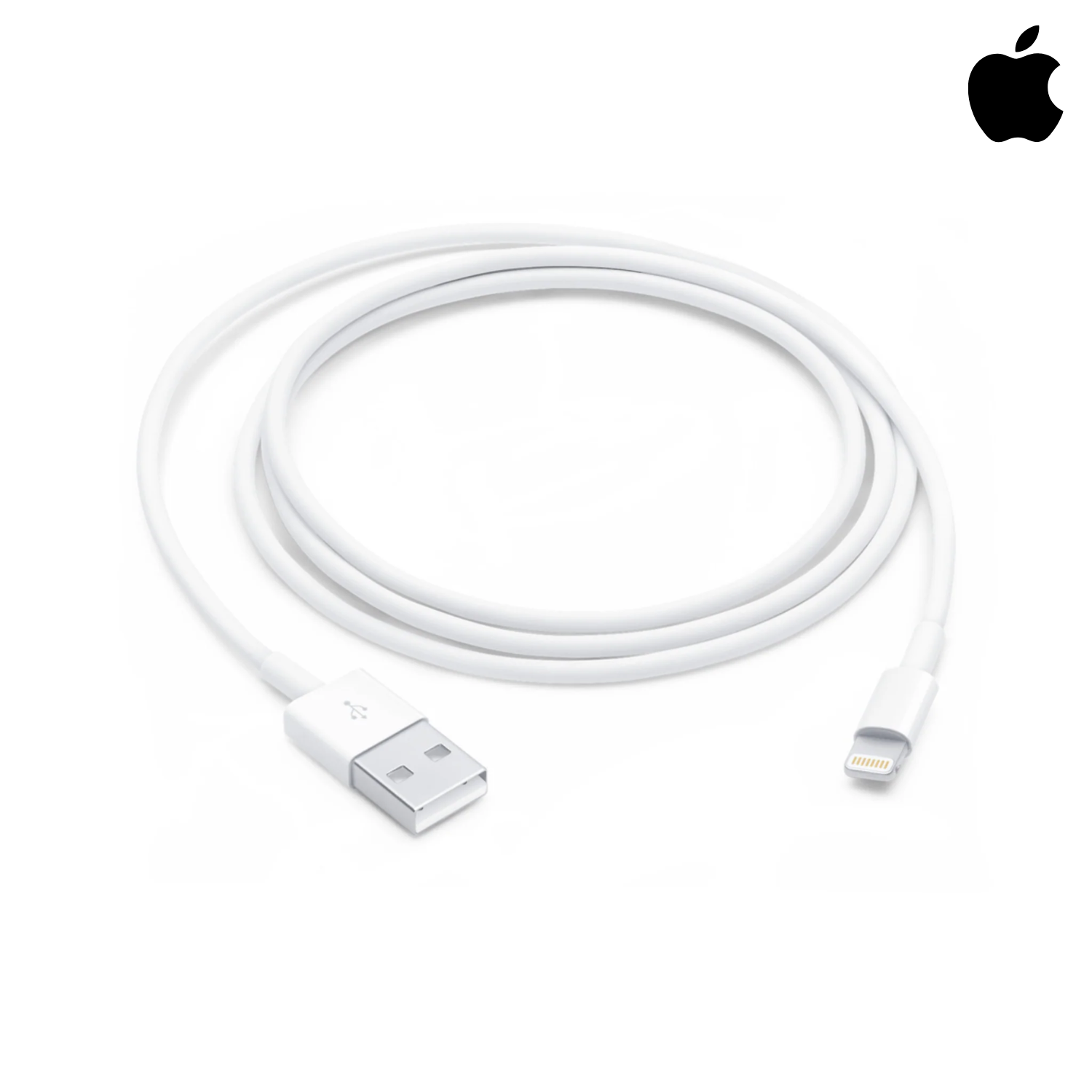 Apple Lightning to USB Cable (1 Meter)